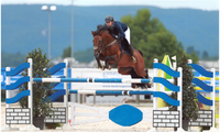 Casandro BZ