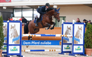 Tinka's Man CH, definitiv gekört bei CHEVAL SUISSE in 2015