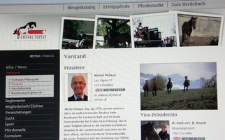 Homepage