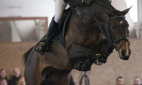 Balou Star