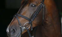 Balou Star