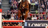 Balou Star