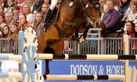 Balou Star