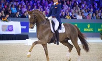 Glock's Flirt de Lully