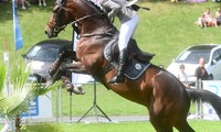 Virtuoso Semilly 2018