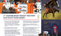 Flyer DE