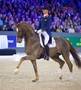 Glock's Flirt de Lully CH