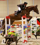 Epreuves jeunes chevaux