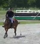 Horse Trials 2017