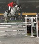 Lanaken - championnat du monde des jeunes chevaux 2018