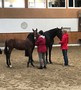 Appréciations des juments et poulains 2019 - Programme